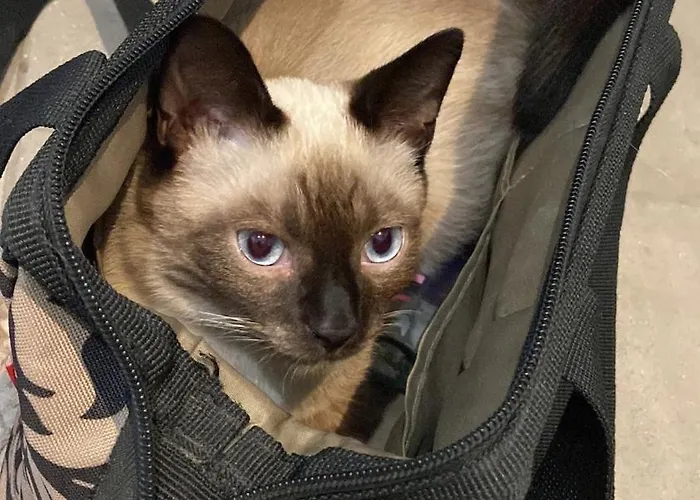 Maison D'architecte * Les Rairies (Maine-et-Loire)